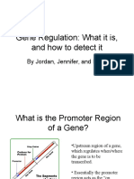 Gene Regulation: What It Is, and How To Detect It: by Jordan, Jennifer, and Brian