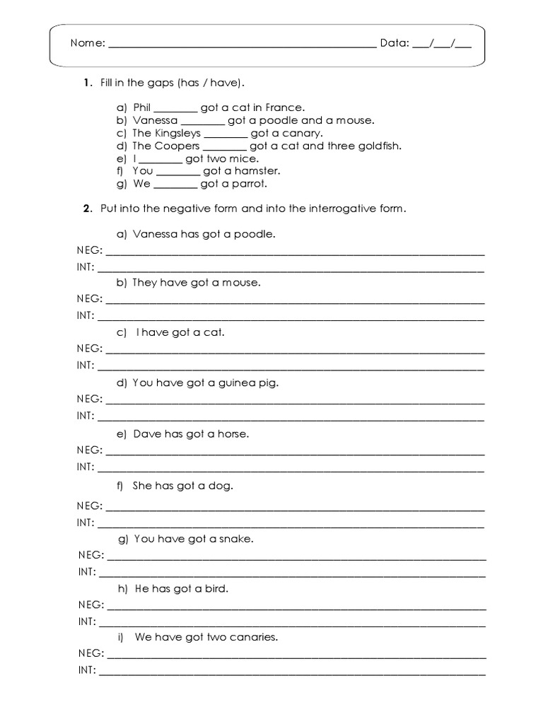 Got: Exercises on Have/Has | PDF | Home & Garden