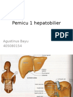 Pemicu 1 Hepatobilier 