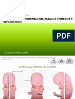 Anatomía Tema 2