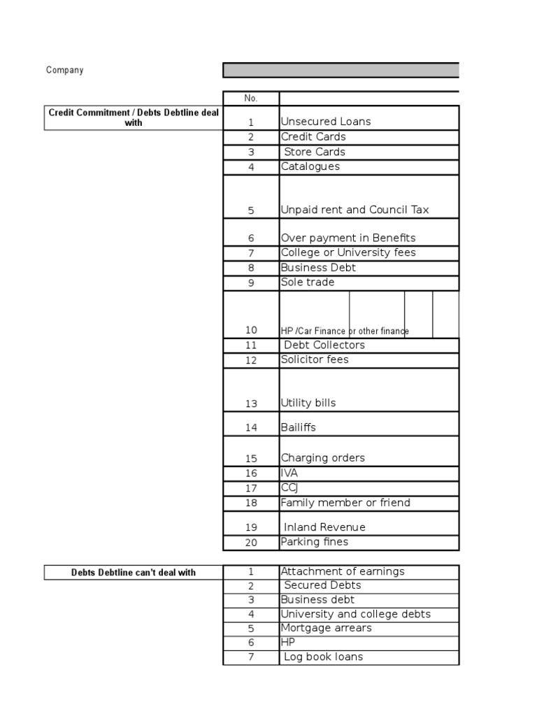 Company Debtline Overview | PDF | Collection Agency | Debt