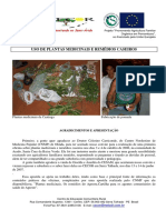 uso_de_plantas_medicinais_e_remedios_caseiros.pdf