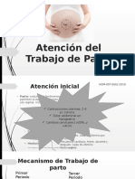 Atencion de Trabajo de Parto