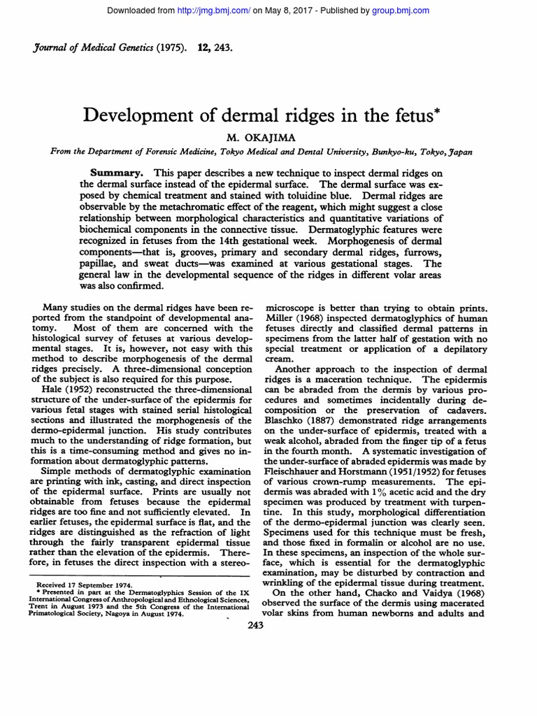 Development of Dermal Ridges Fetus : in The | PDF | Hand | Fingerprint