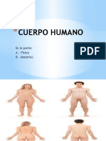 Cuerpo Humano