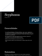 Scyphozoa