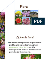 flora-130909105650-
