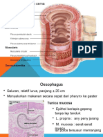 2.3. Histologi Sistem Pencernaan 2.ppsx