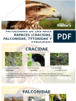 Patologias de Las Aves (Cracidae, Falconidae
