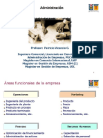 Areas Funcionales de Una Empresa PDF