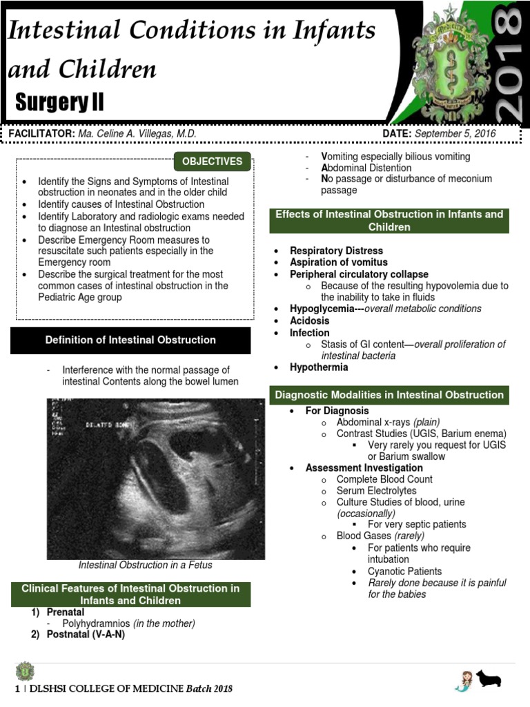 Intestinal Obstruction in Infants & Children | PDF | Digestive Diseases ...