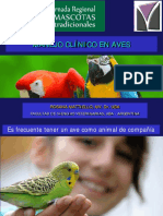 Examen - Clinico en Aves