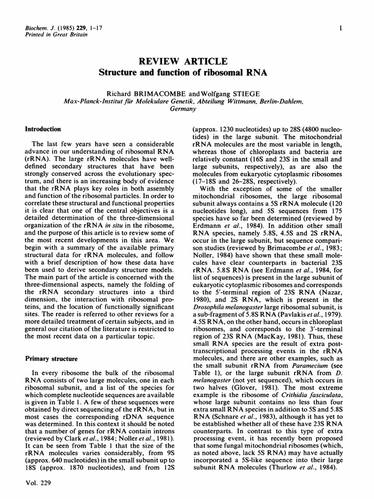 Biochemj00300 0010 PDF | PDF | Ribosomal Rna | Ribosome