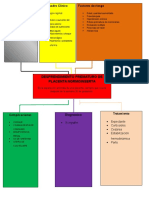 24. Desprendimiento Prematuro de Placenta Ni...