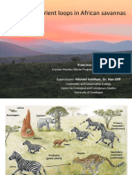 Alternative Nutrient Loops in African Savannas - Presentation