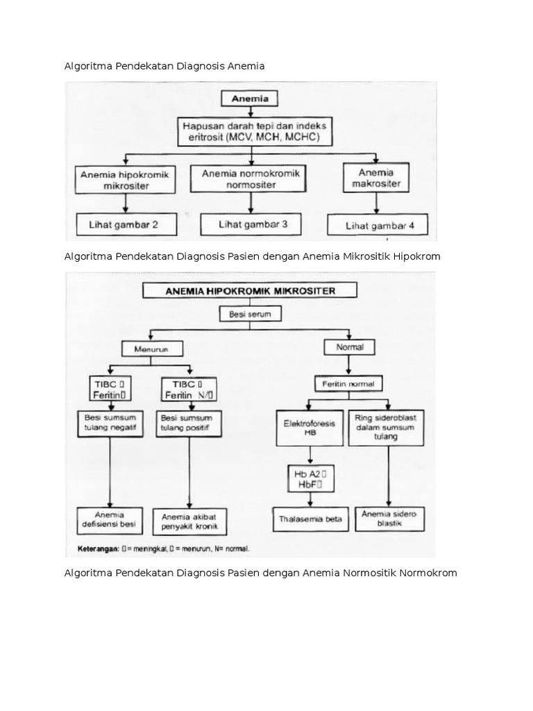 Algoritma Pendekatan Diagnosis Anemia | PDF