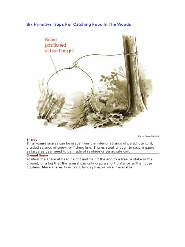 Six Primitive Traps For Catching Food in The Woods, PDF, Trapping