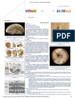 Fósiles - Ammonites - Región de Murcia Digital.pdf