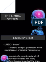 Limbic System Reporting