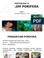 Bahan Kuliah IX Porifera