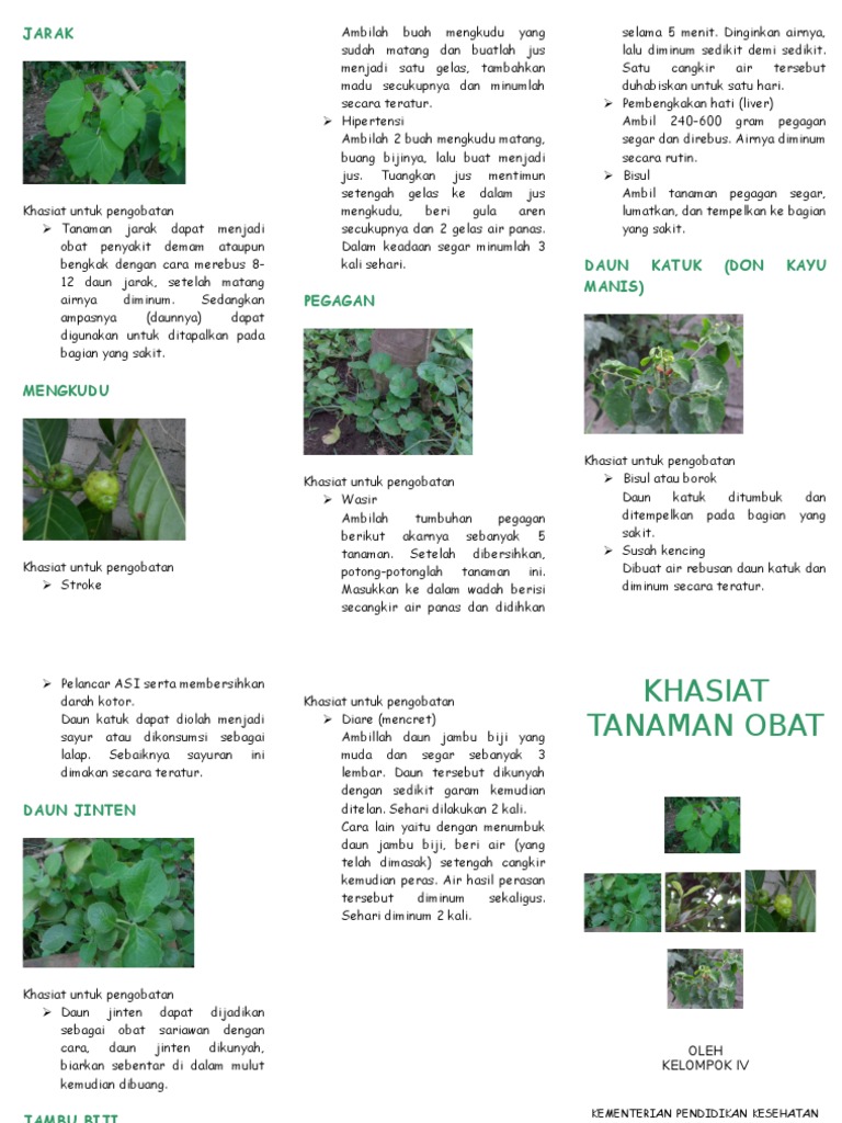 Leaflet Toga Pdf