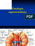 11. Patologia suprarenaliana
