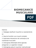 Curs_13_Biomecanica musculara.pptx