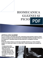 Curs_04_Biomecanica Gleznei Si Piciorului