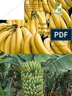 Piata Bananelor in Romania Politici Agricole