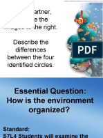 organization environment  1 