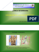 Exploración Del Sistema Respiratorio