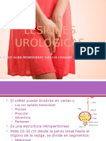 Lesiones Urologicas. Expo