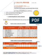 Calcul Pensie PDF