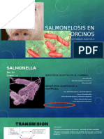 Salmonelosis en Porcinos