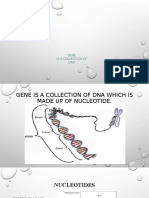 Gene Is A Collection of DNA