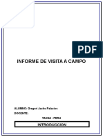 INFORME DE VISITA A CAMPO.docx