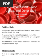 human hearts blood lungs and other stuff  1 