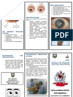 Leaflet Katarak PDF