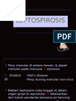 Leptospirosis