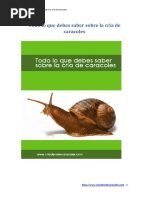 Todo Lo Que Debes Saber Sobre La Cria de Caracoles
