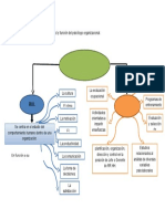 Organizador Grafico