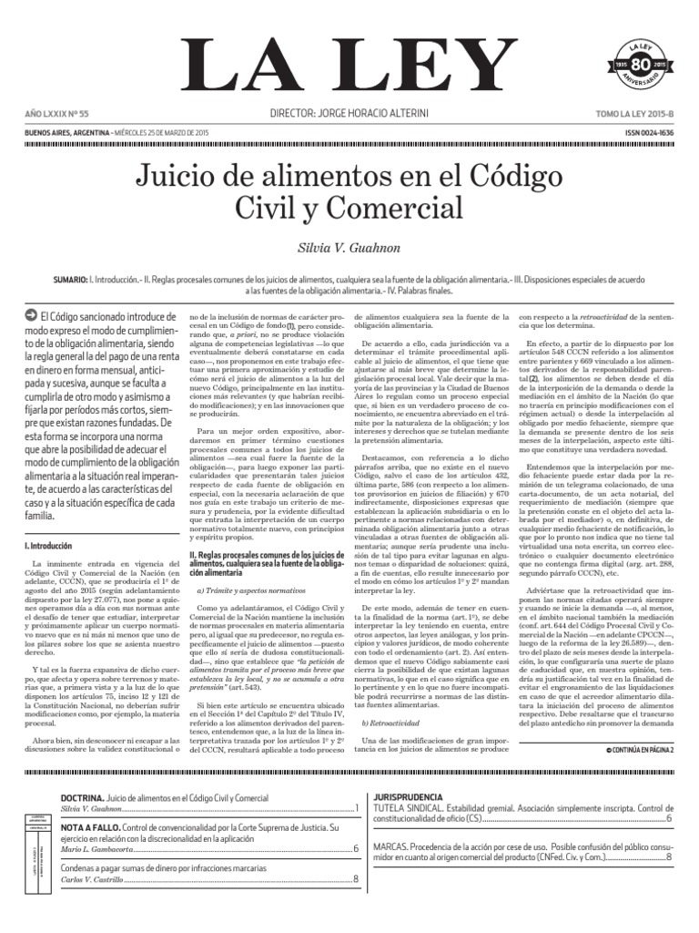 Juicio de alimentos en el Código Civil y Comercial Silvia