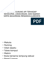 Dampak Gunung API Terhadap Kehidupan, Lingkungan