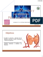34 Tiroides Paratiroides y Pancreas Endocrino