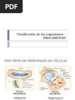 Sesión 2a Celulas procariotas.pptx