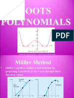 Roots of Polynomials