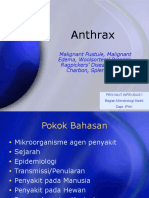 Anthrax (Kuliah Minngu 2)