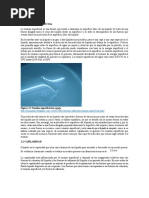 Capilaridad Marco Teorico