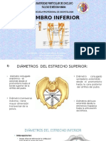 Diapositivas Anatomia Practica