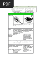 Download Tabel Perbedaan Sel Prokariotik Dan Sel Eukariotik by Emi Fitria S SN347944386 doc pdf